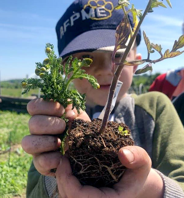 Little Seeds Nature Preschool