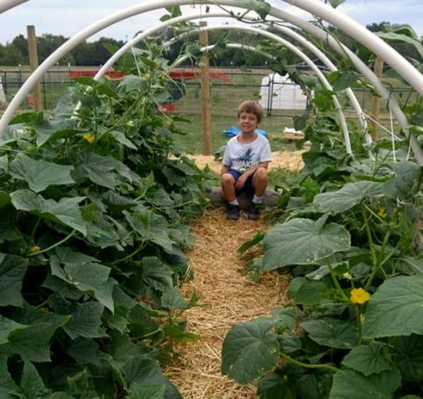 Little Seeds Nature Preschool
