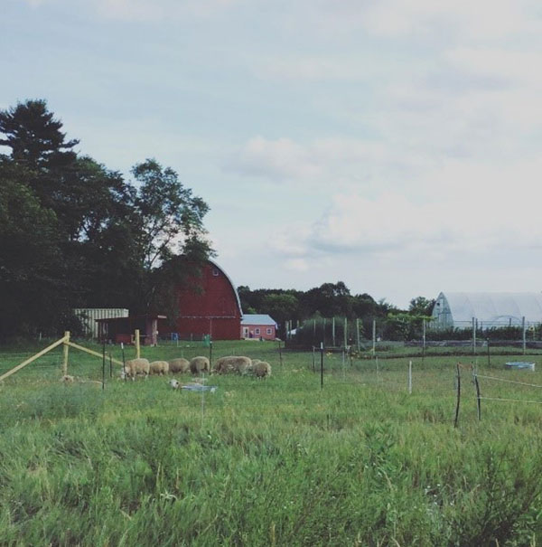 Grow and Gather Farm at Camp St. Croix