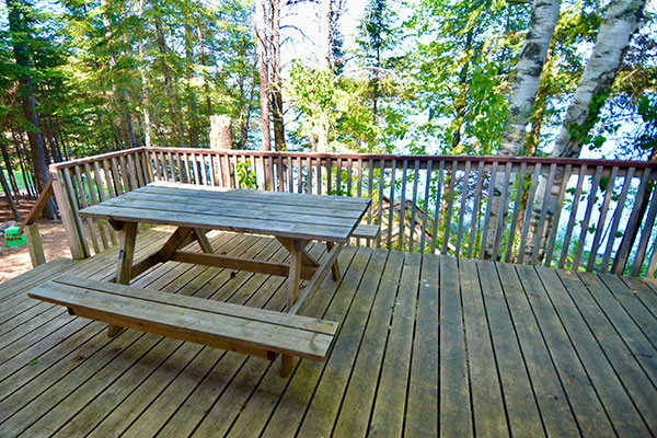 Cygnus cabin at Camp Northern Lights