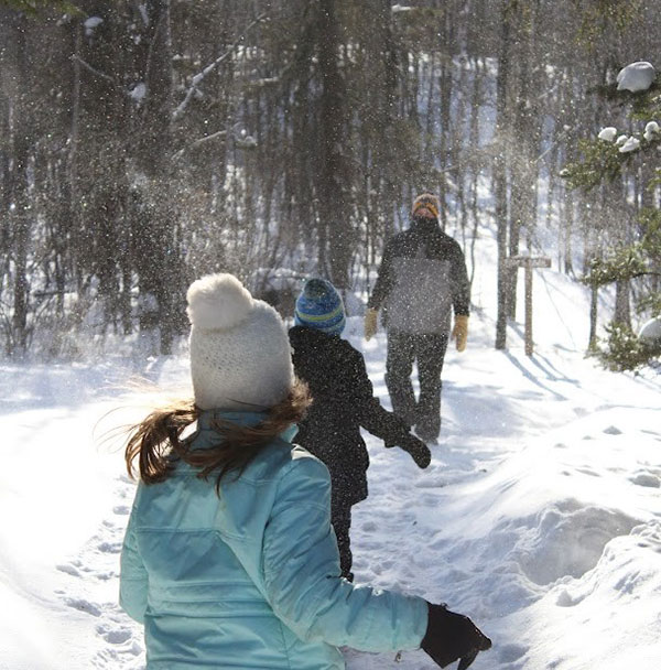 Book Your Own Getaway at Camp Northern Lights