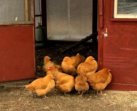 The Farm at Camp St. Croix