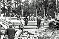camp-menogyn-blog-041818-digital-archive.jpg Thumbnail