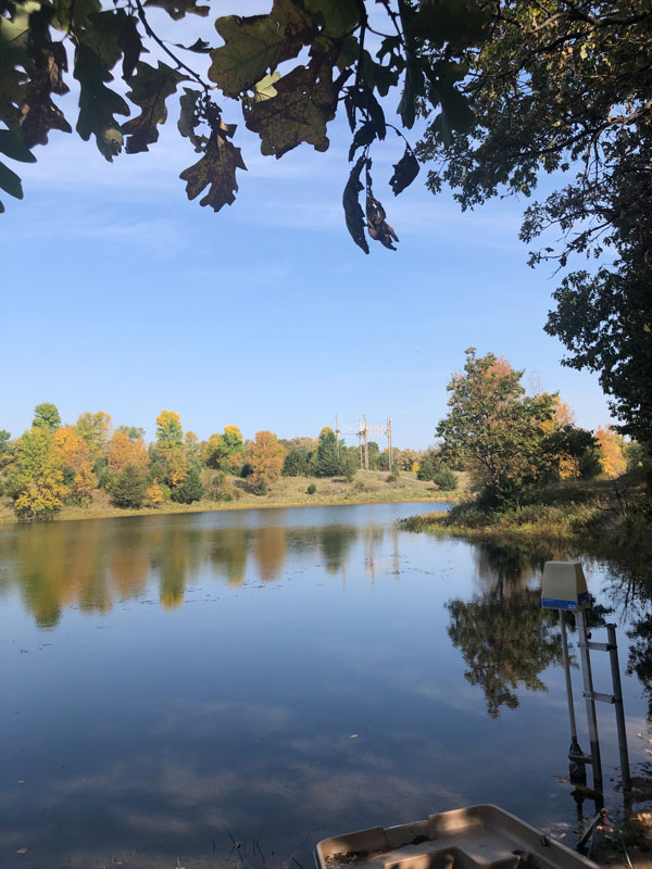 Changes coming to YMCA Day Camp Kici Yapi in 2022 YMCA of the North