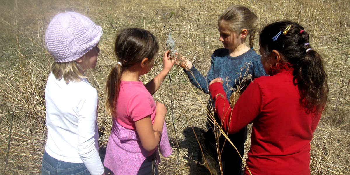 YMCA Camp St. Croix Environmental Education Programs