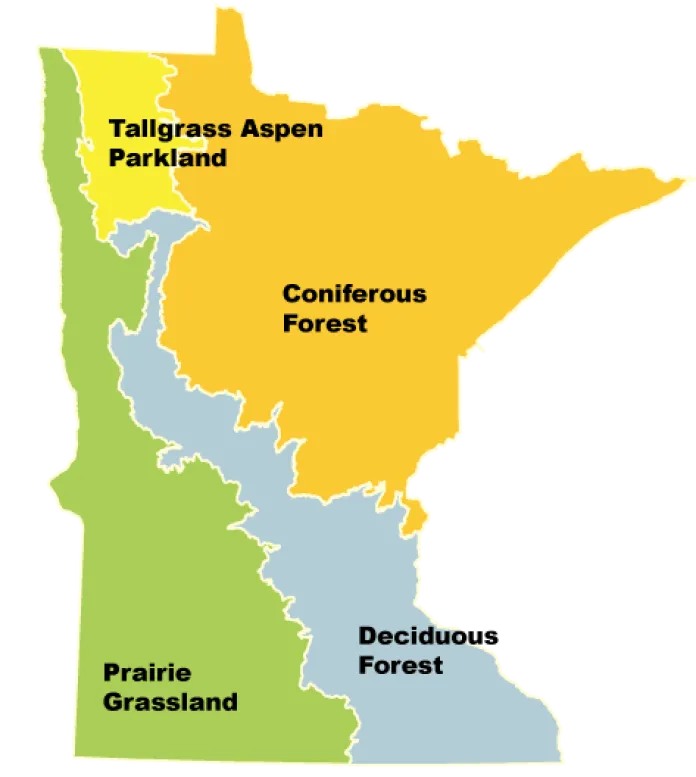 Map of Minnesota's four biomes