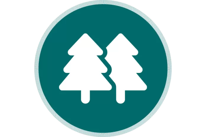K2C Trees Icon